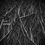 Artwork for "The Experiment"