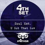 Artwork voor "U Got That Luv"