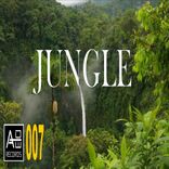Artwork voor "Jungle"