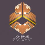 Artwork für "Say What"