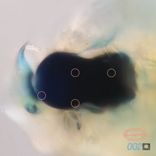 Artwork for "Close Car / Those Faces That Blur"