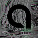 Artwork voor "Haunted"