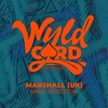 Artwork voor "Rave Injection"