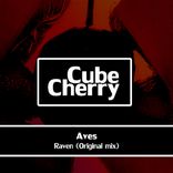 Artwork für "Raven"