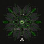 The Theory of Everything