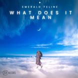 Artwork für "What Does It Mean"