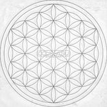 Artwork für "Near Field"