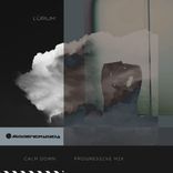 Artwork for "Calm Down (Progressive Mix)"