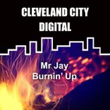 Portada para "Burnin Up"