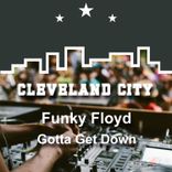 Portada para "Gotta Get Down"