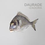 Artwork for "Daurade"