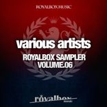 Artwork for "Royalbox Sampler Vol. 06"
