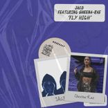 Artwork für "Fly High"