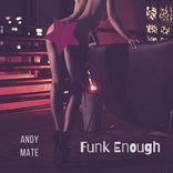 Artwork voor "Funk Enough"