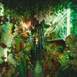 Portada para "The Year of the Jellyfish"