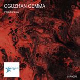 Portada para "Praimfaya"