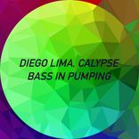 Portada para "Bass in pumping"