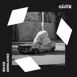 Artwork for "Demolished"