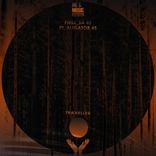 Artwork for "Traveller"