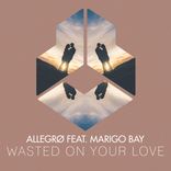 Artwork voor "Wasted On Your Love"