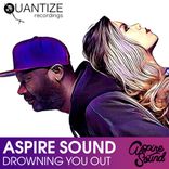 Portada para "Drowning You Out"