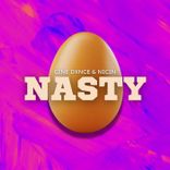 Portada para "Nasty"