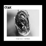 Artwork for "Hoffmann"