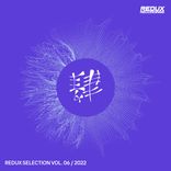 Artwork voor "Redux Selection, Vol. 6 / 2022"