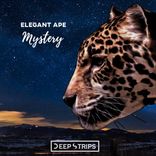 Artwork voor "Mystery"