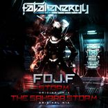 Portada para "Storm / The Sahara Storm"