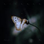 Artwork for "Silence"