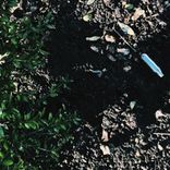 Artwork for "With The Pulse"