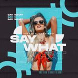 Portada para "Say What"