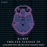 Artwork for "Endless Ecstasy"