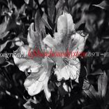 Artwork for "Ongriza EP"