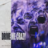 Artwork for "Drive Me Crazy"