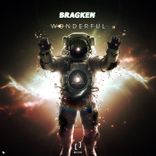 Portada para "Wonderful"