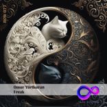 Artwork voor "Freak"