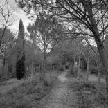 Artwork für "Next Door"