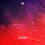 Artwork for "Undisclosed Files"