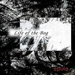 Artwork for "Life of the Bog"