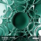 Artwork for "Magnitude"