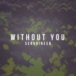 Without You