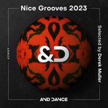 Artwork for "Nice Grooves (Selected)"