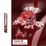 Artwork für "Culo"