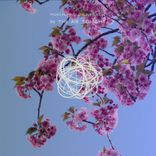 Artwork voor "In The Air Tonight"