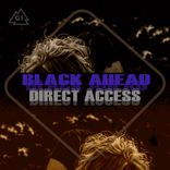 Artwork voor "Direct Access"