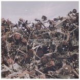 Artwork for "Survivalist"