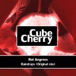 Portada para "Raindrops"