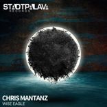 Artwork for "Wise Eagle"